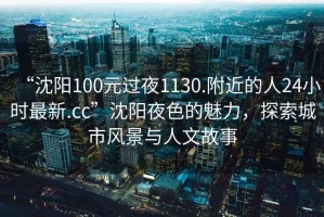 “沈陽(yáng)100元過(guò)夜1130.附近的人24小時(shí)最新.cc”沈陽(yáng)夜色的魅力，探索城市風(fēng)景與人文故事