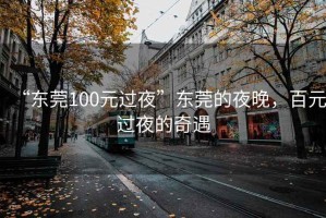 “東莞100元過(guò)夜”東莞的夜晚，百元過(guò)夜的奇遇