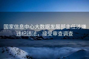 國家信息中心大數據發(fā)展部主任涉嫌違紀違法，接受審查調查