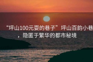 “坪山100元耍的巷子”坪山百韻小巷，隱匿于繁華的都市秘境