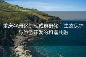 重慶4A景區驚現成群野豬，生態(tài)保護與旅游開(kāi)發(fā)的和諧共融