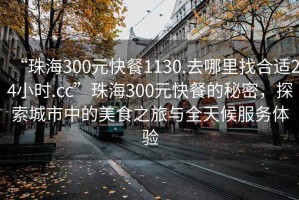 “珠海300元快餐1130.去哪里找合適24小時(shí).cc”珠海300元快餐的秘密，探索城市中的美食之旅與全天候服務(wù)體驗