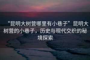 “昆明大樹(shù)營(yíng)哪里有小巷子”昆明大樹(shù)營(yíng)的小巷子，歷史與現代交織的秘境探索