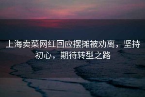上海賣(mài)菜網(wǎng)紅回應擺攤被勸離，堅持初心，期待轉型之路