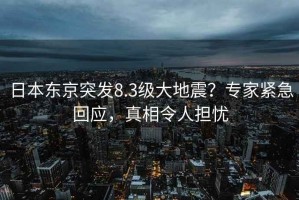 日本東京突發(fā)8.3級大地震？專(zhuān)家緊急回應，真相令人擔憂(yōu)
