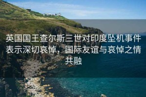 英國國王查爾斯三世對印度墜機事件表示深切哀悼，國際友誼與哀悼之情共融
