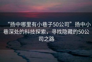 “揚中哪里有小巷子50公司”揚中小巷深處的科技探索，尋找隱藏的50公司之路