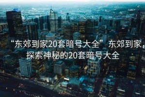 “東郊到家20套暗號大全”東郊到家，探索神秘的20套暗號大全