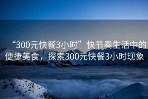 “300元快餐3小時(shí)”快節奏生活中的便捷美食，探索300元快餐3小時(shí)現象