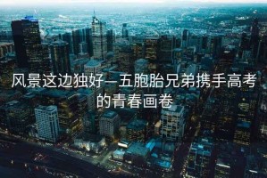 風(fēng)景這邊獨好—五胞胎兄弟攜手高考的青春畫(huà)卷