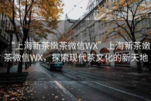 “上海新茶嫩茶微信WX”上海新茶嫩茶微信WX，探索現代茶文化的新天地