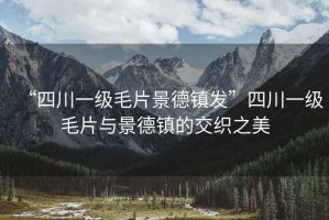 “四川一級毛片景德鎮發(fā)”四川一級毛片與景德鎮的交織之美