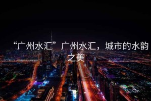 “廣州水匯”廣州水匯，城市的水韻之美