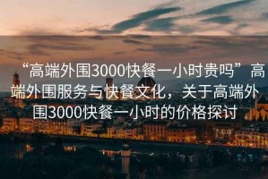 “高端外圍3000快餐一小時(shí)貴嗎”高端外圍服務(wù)與快餐文化，關(guān)于高端外圍3000快餐一小時(shí)的價(jià)格探討