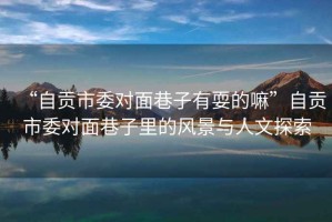 “自貢市委對面巷子有耍的嘛”自貢市委對面巷子里的風(fēng)景與人文探索