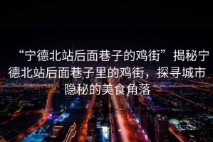“寧德北站后面巷子的雞街”揭秘寧德北站后面巷子里的雞街，探尋城市隱秘的美食角落