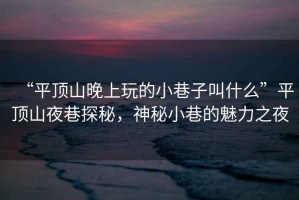 “平頂山晚上玩的小巷子叫什么”平頂山夜巷探秘，神秘小巷的魅力之夜