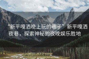 “新平嘎灑晚上玩的巷子”新平嘎灑夜巷，探索神秘的夜晚娛樂(lè )勝地