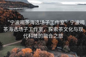 “寧波喝茶海選場(chǎng)子工作室”寧波喝茶海選場(chǎng)子工作室，探索茶文化與現代科技的融合之旅