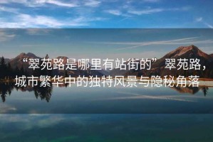 “翠苑路是哪里有站街的”翠苑路，城市繁華中的獨特風(fēng)景與隱秘角落