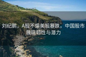 劉紀鵬，A股不懼美股暴跌，中國股市展現韌性與潛力