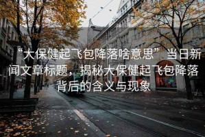 “大保健起飛包降落啥意思”當日新聞文章標題，揭秘大保健起飛包降落背后的含義與現象