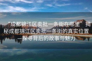“成都錦江區賣(mài)批一條街在哪里”揭秘成都錦江區賣(mài)批一條街的真實(shí)位置—探尋背后的故事與魅力