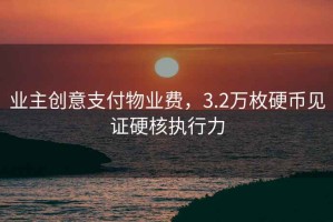 業(yè)主創(chuàng  )意支付物業(yè)費，3.2萬(wàn)枚硬幣見(jiàn)證硬核執行力