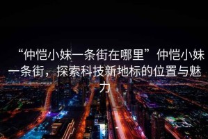“仲愷小妹一條街在哪里”仲愷小妹一條街，探索科技新地標的位置與魅力