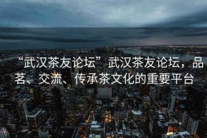 “武漢茶友論壇”武漢茶友論壇，品茗、交流、傳承茶文化的重要平臺