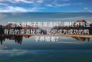 “怎么當鴨子有渠道嗎”揭秘養鴨業(yè)背后的渠道秘密，如何成為成功的鴨子養殖者？