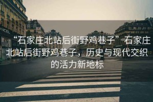 “石家莊北站后街野雞巷子”石家莊北站后街野雞巷子，歷史與現代交織的活力新地標