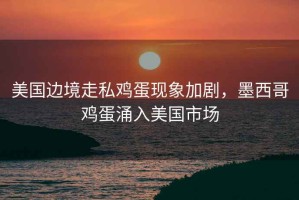 美國邊境走私雞蛋現象加劇，墨西哥雞蛋涌入美國市場(chǎng)
