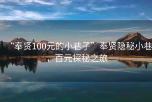 “奉賢100元的小巷子”奉賢隱秘小巷，百元探秘之旅