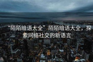 “陌陌暗語(yǔ)大全”陌陌暗語(yǔ)大全，探索網(wǎng)絡(luò )社交的新語(yǔ)言