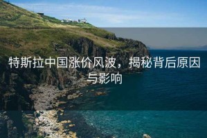 特斯拉中國漲價(jià)風(fēng)波，揭秘背后原因與影響