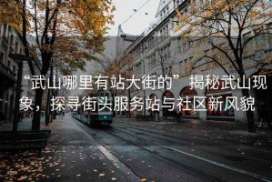 “武山哪里有站大街的”揭秘武山現象，探尋街頭服務(wù)站與社區新風(fēng)貌
