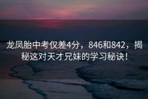 龍鳳胎中考僅差4分，846和842，揭秘這對天才兄妹的學(xué)習秘訣！
