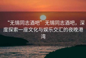 “無(wú)錫同志酒吧”無(wú)錫同志酒吧，深度探索一座文化與娛樂(lè )交匯的夜晚港灣