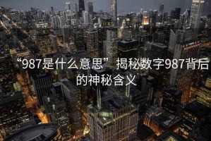 “987是什么意思”揭秘數字987背后的神秘含義