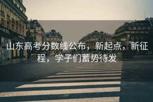 山東高考分數線(xiàn)公布，新起點(diǎn)，新征程，學(xué)子們蓄勢待發(fā)