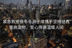 緊急救援徐冬冬尹子維攜手堅持拯救重病寵物，愛(ài)心傳遞溫暖人間