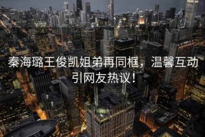 秦海璐王俊凱姐弟再同框，溫馨互動(dòng)引網(wǎng)友熱議！