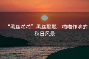 “黑絲啪啪”黑絲飄飄，啪啪作響的秋日風(fēng)景