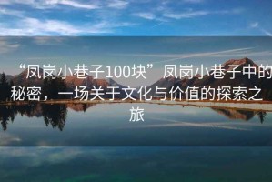 “鳳崗小巷子100塊”鳳崗小巷子中的秘密，一場(chǎng)關(guān)于文化與價(jià)值的探索之旅