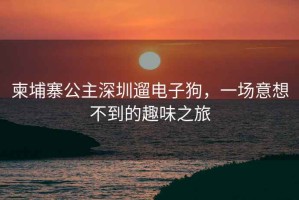 柬埔寨公主深圳遛電子狗，一場(chǎng)意想不到的趣味之旅