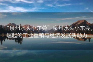 “泉州水頭小東莞”泉州水頭小東莞，崛起的工業(yè)重鎮與經(jīng)濟發(fā)展新動(dòng)力
