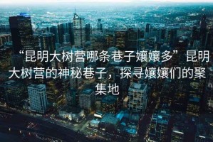 “昆明大樹(shù)營(yíng)哪條巷子孃孃多”昆明大樹(shù)營(yíng)的神秘巷子，探尋孃孃們的聚集地