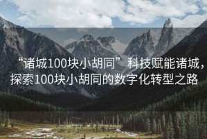 “諸城100塊小胡同”科技賦能諸城，探索100塊小胡同的數字化轉型之路
