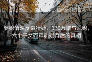 婆媳情深反遭猜疑，170萬(wàn)贈與兒媳，六個(gè)子女齊聲質(zhì)疑背后的真相